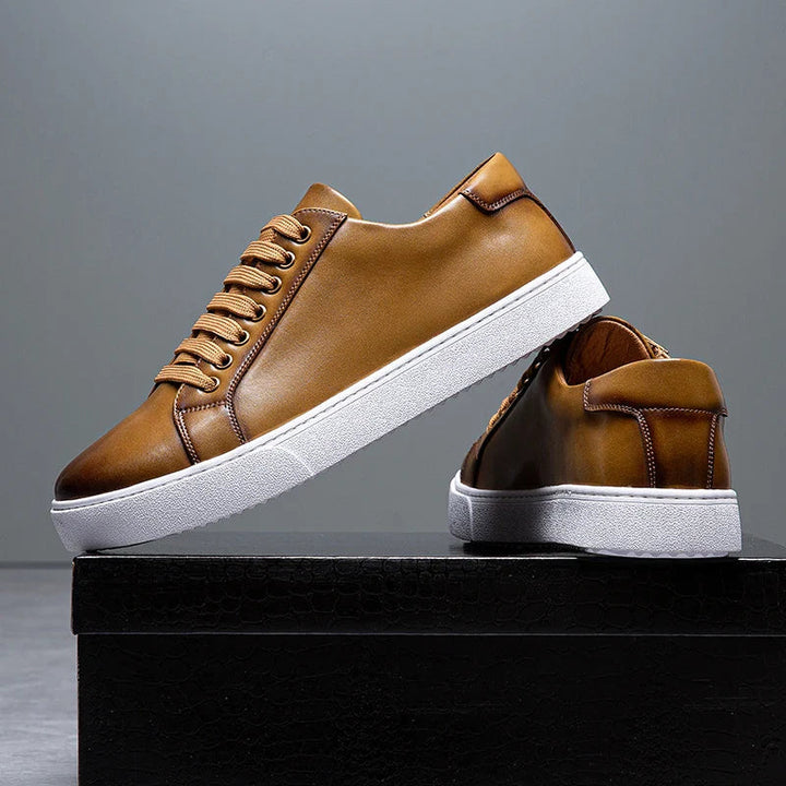 Trampki Dalton Premium – stylowy komfort na co dzień