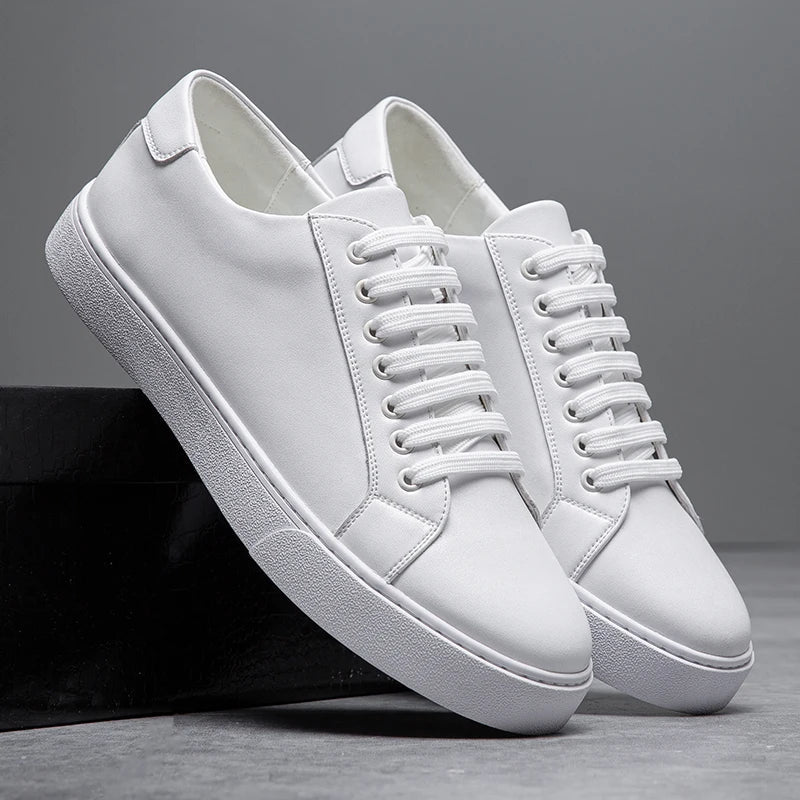 Trampki Dalton Premium – stylowy komfort na co dzień