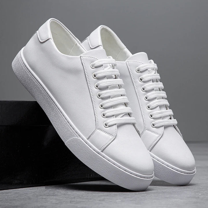 Trampki Dalton Premium – stylowy komfort na co dzień
