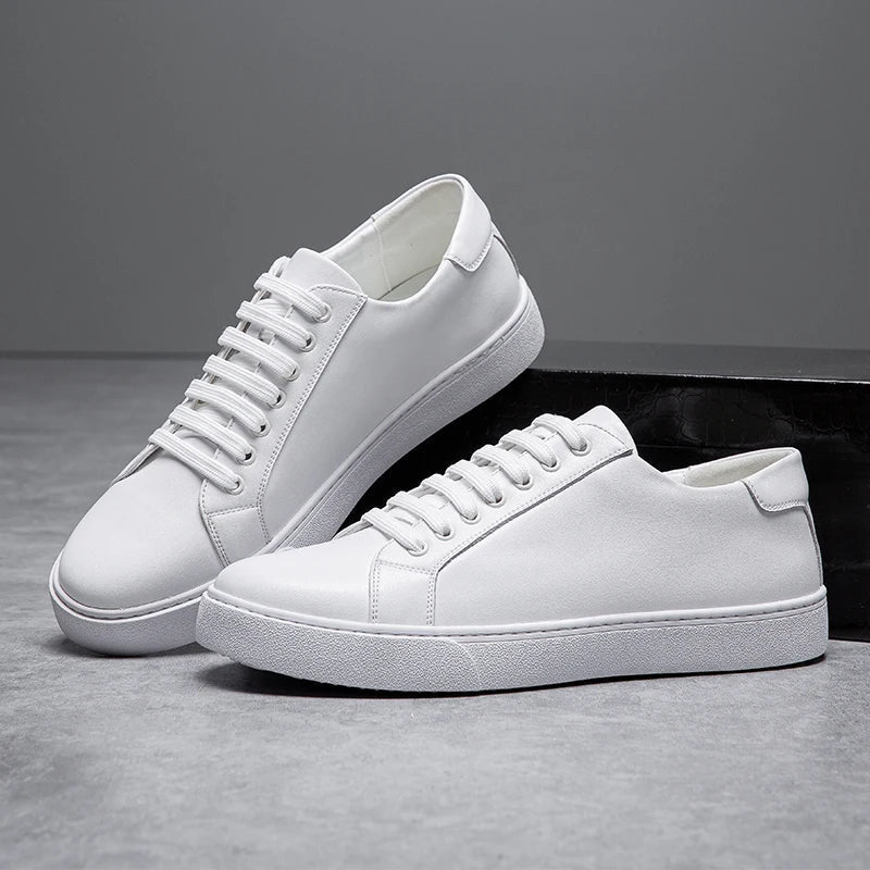 Trampki Dalton Premium – stylowy komfort na co dzień